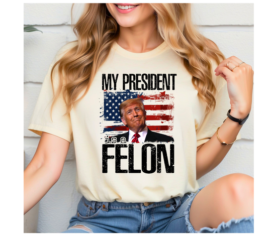 My President is a Felon.